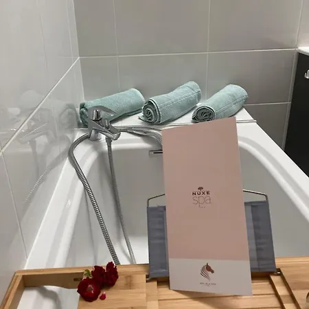 Garden Spa-hyper Centre Avec Cour-calme-sauna-hamam Troyes