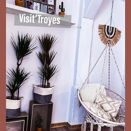 Garden Spa-hyper Centre Avec Cour-calme-sauna-hamam * Troyes