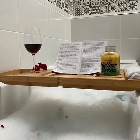 Garden Spa-hyper Centre Avec Cour-calme-sauna-hamam * Troyes